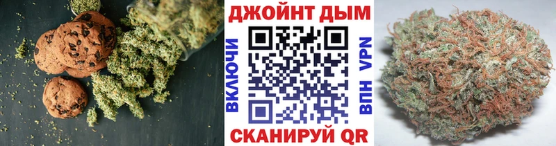 Cannafood конопля  Шали 