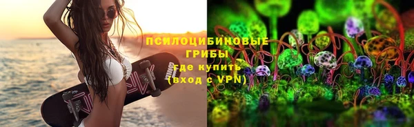 кокс Богородицк