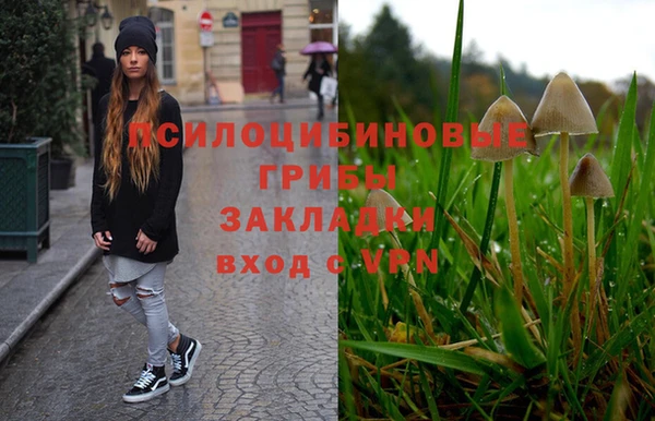 МДПВ Богданович