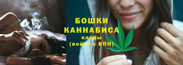 кокс Богородицк