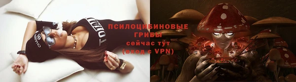кокс Богородицк