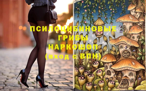 кокс Богородицк