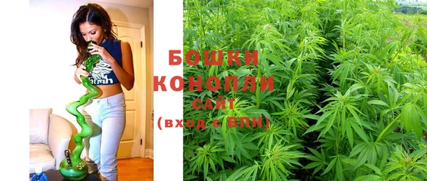 кокс Богородицк