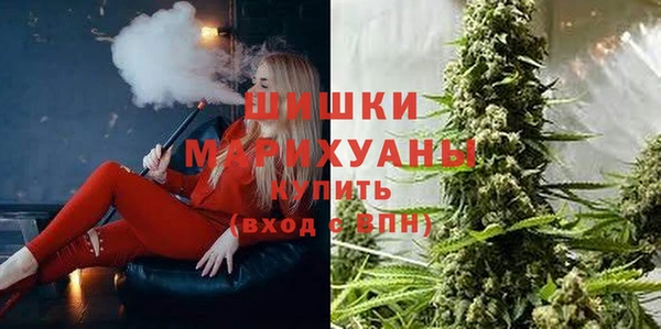 кокс Богородицк
