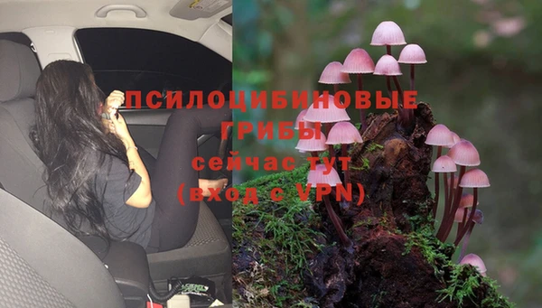 МДПВ Богданович