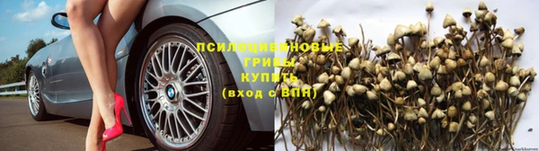 МДПВ Богданович